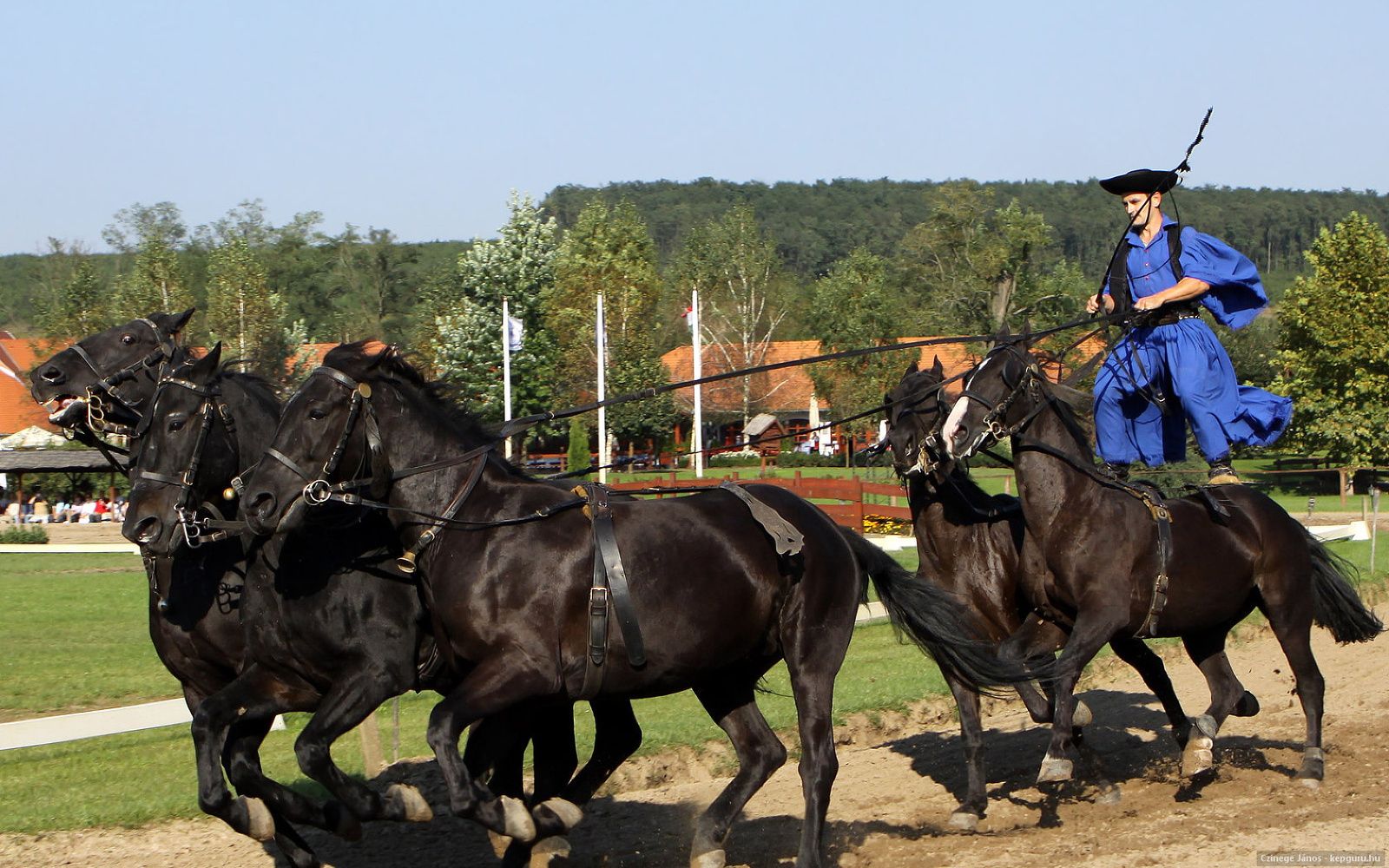 Lázár lovaspark Domonyvölgy