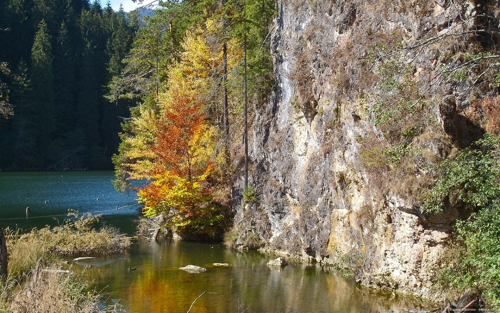 Gyilkos-tó, Erdély