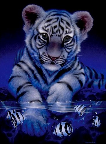 1235 white-baby-tiger.gif