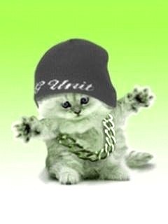 Hip Hop Kitten