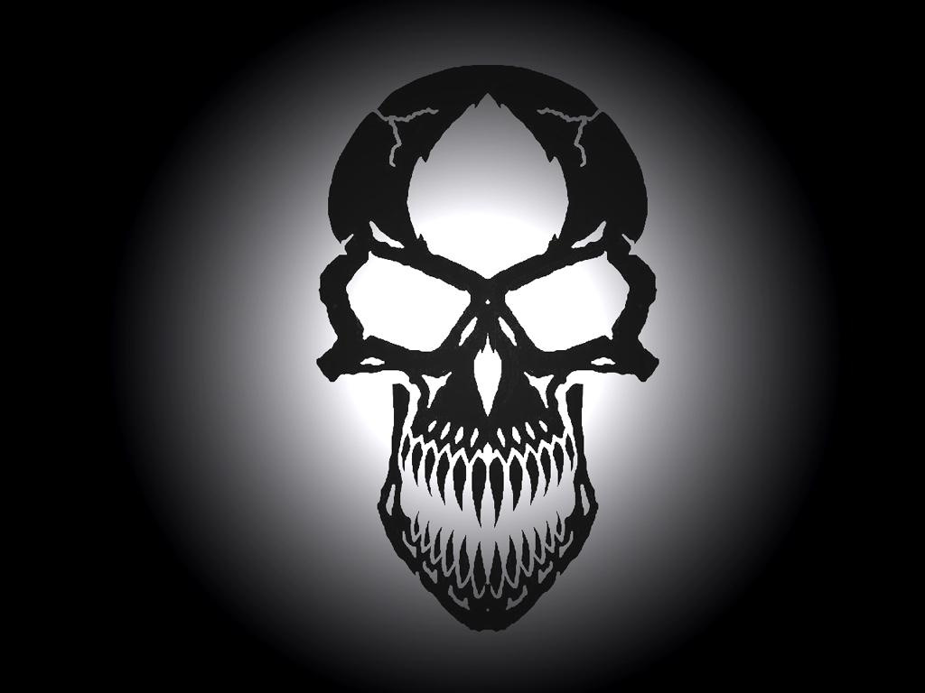 1184599917 1024x768 skull desktop wallpaper