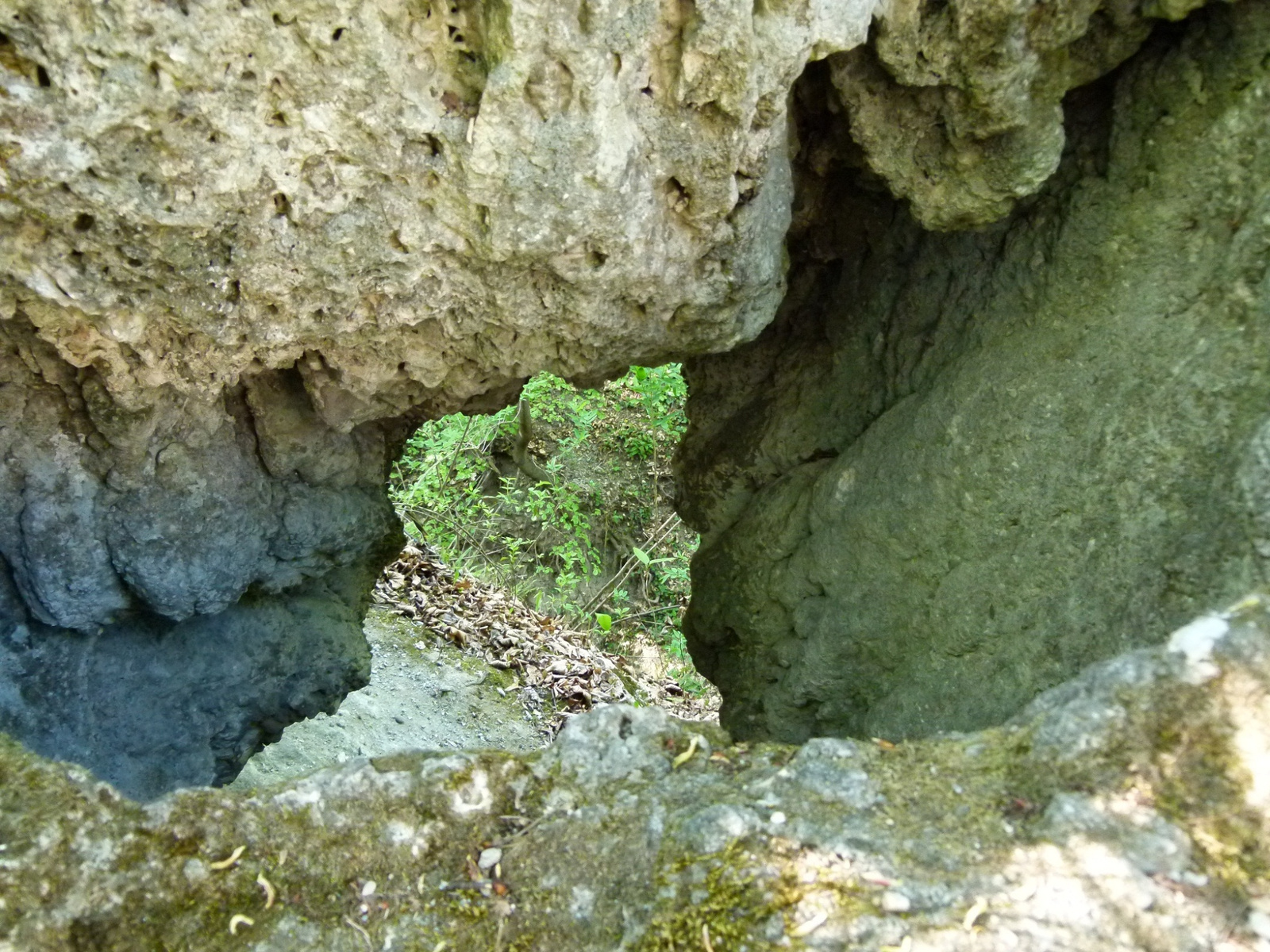 Lillafüred, szikla mélyén (P1130881)