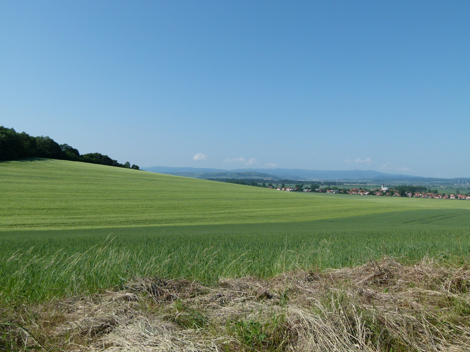 Borsodban (P1160625)