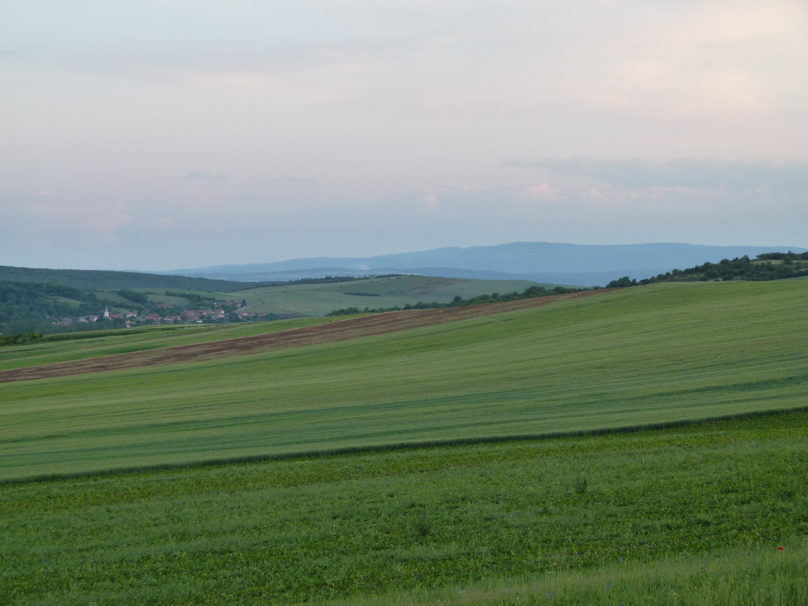 Borsodban (P1170159)