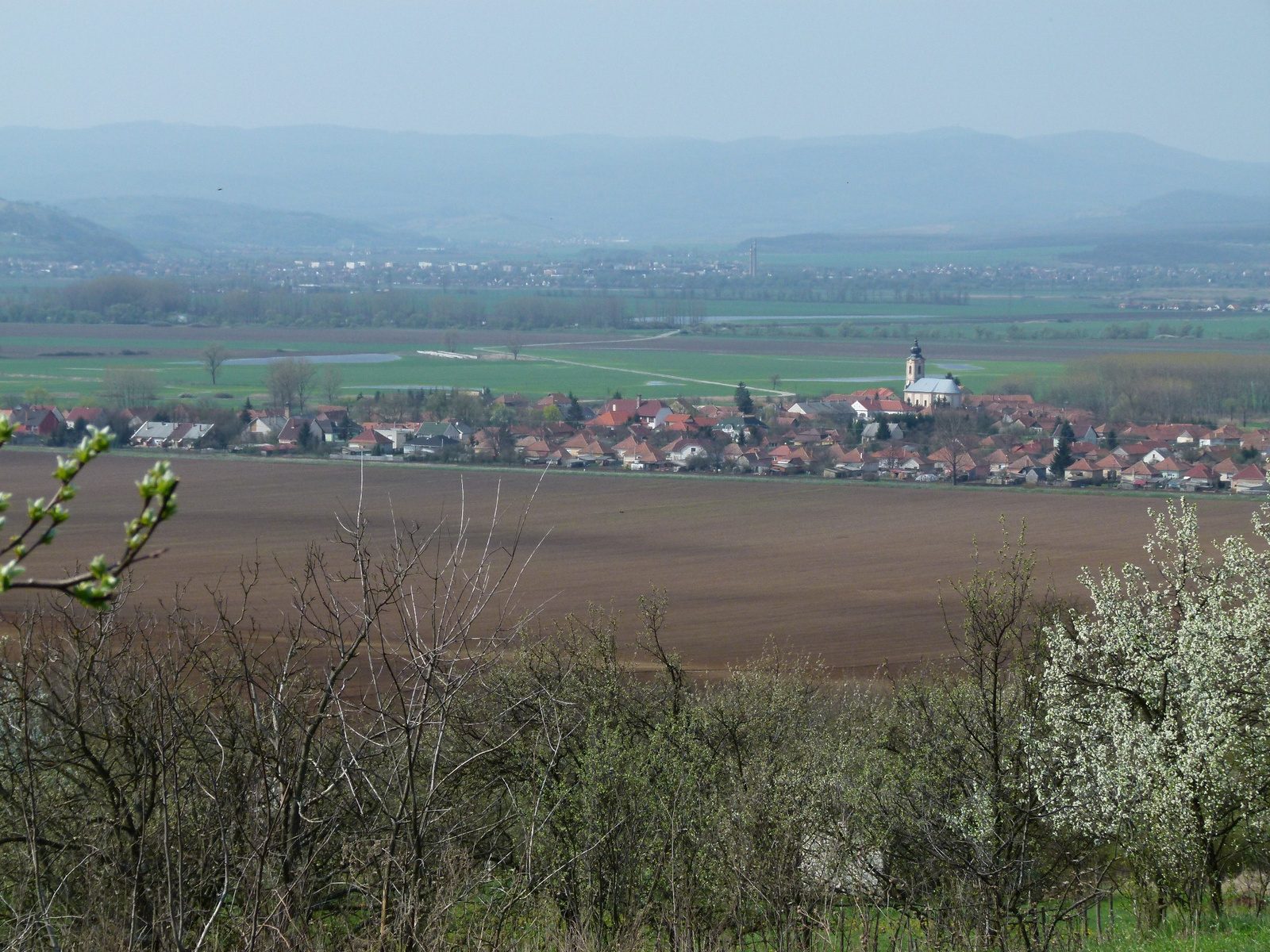 Tájkép (P1330436)