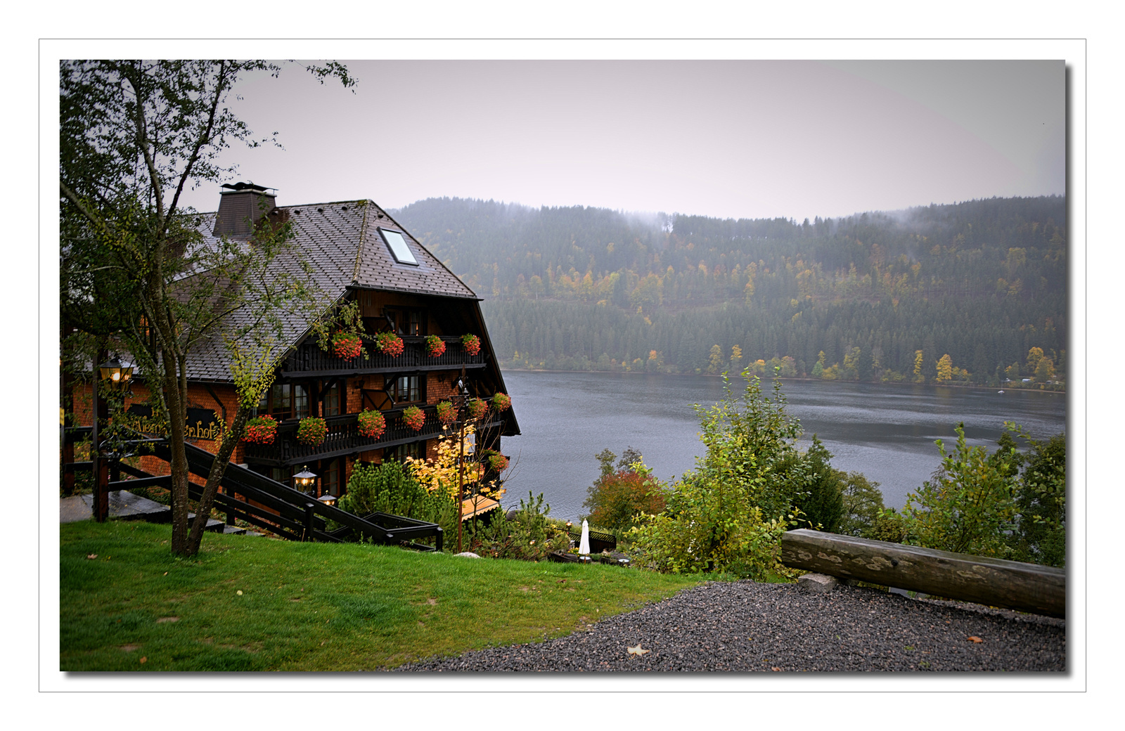 Titisee esöben