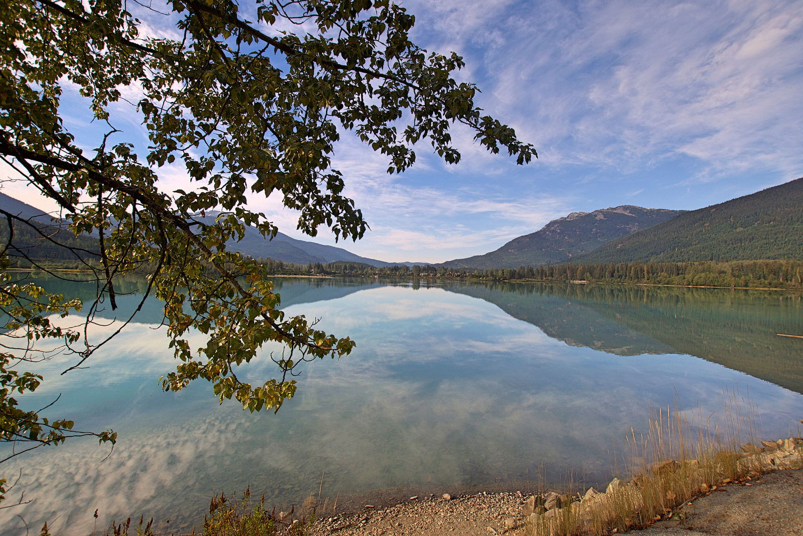 Whistler