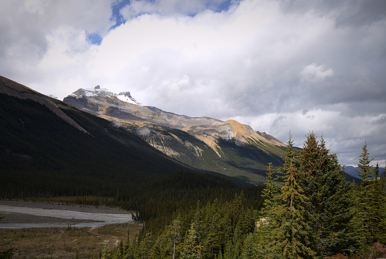 Icefields