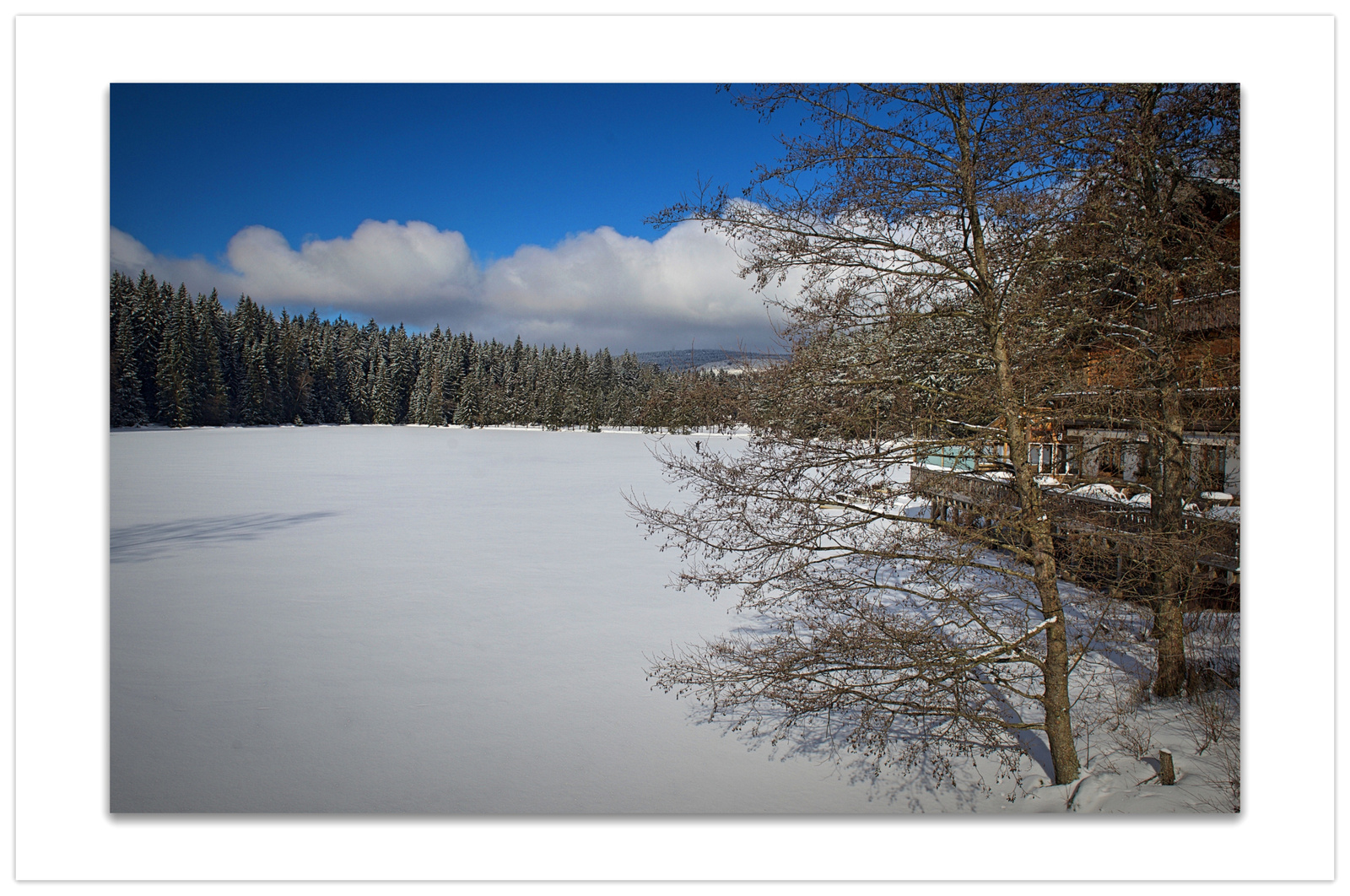 Hotel am See