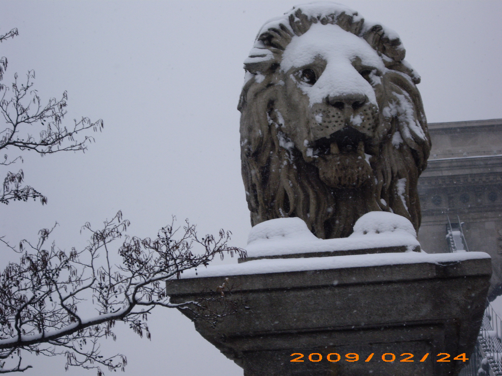2009 0224-19 Lánchíd oroszlán