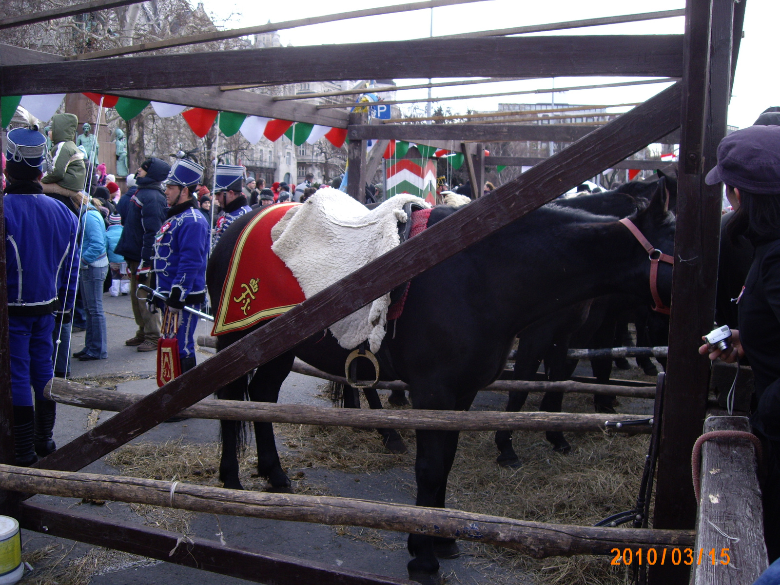 2010 0315-11 Lovak a Lánchídnál