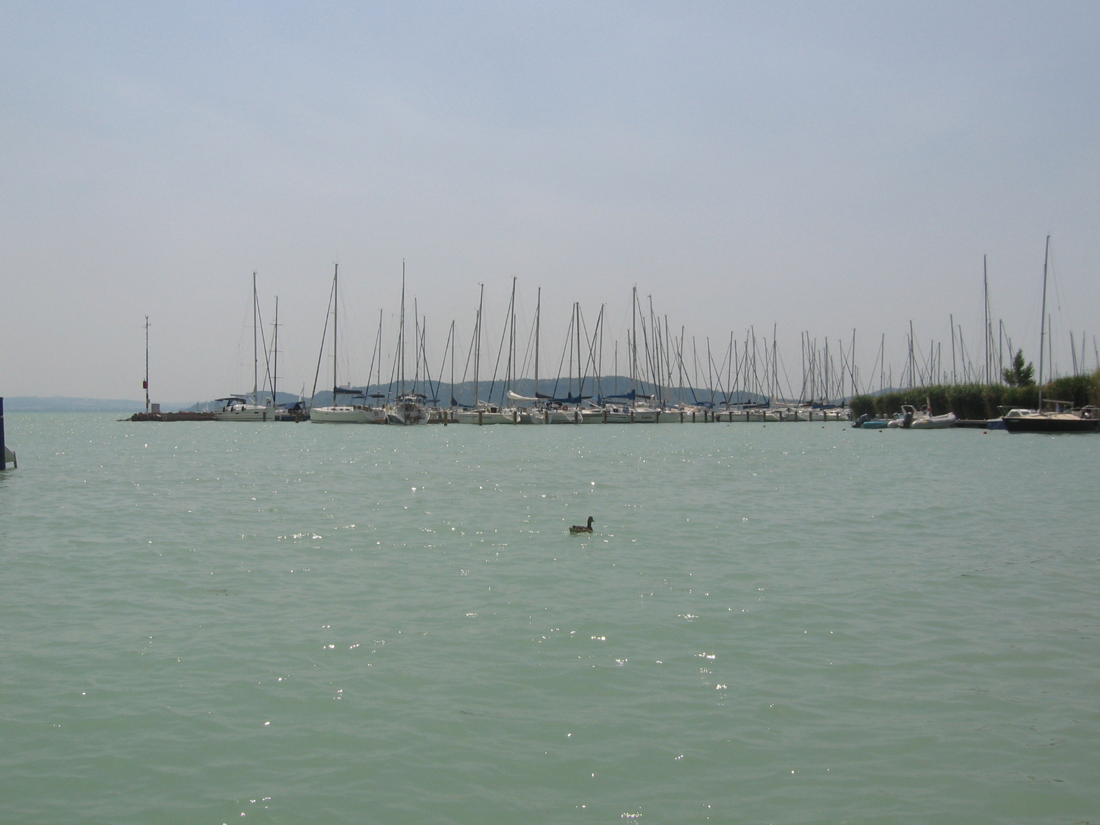 2013 június Balaton 033