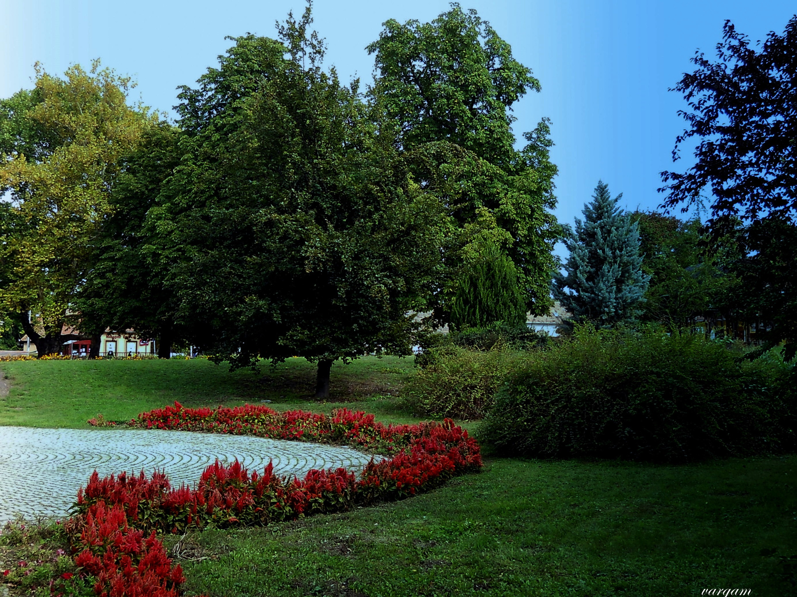 Tata virágos park