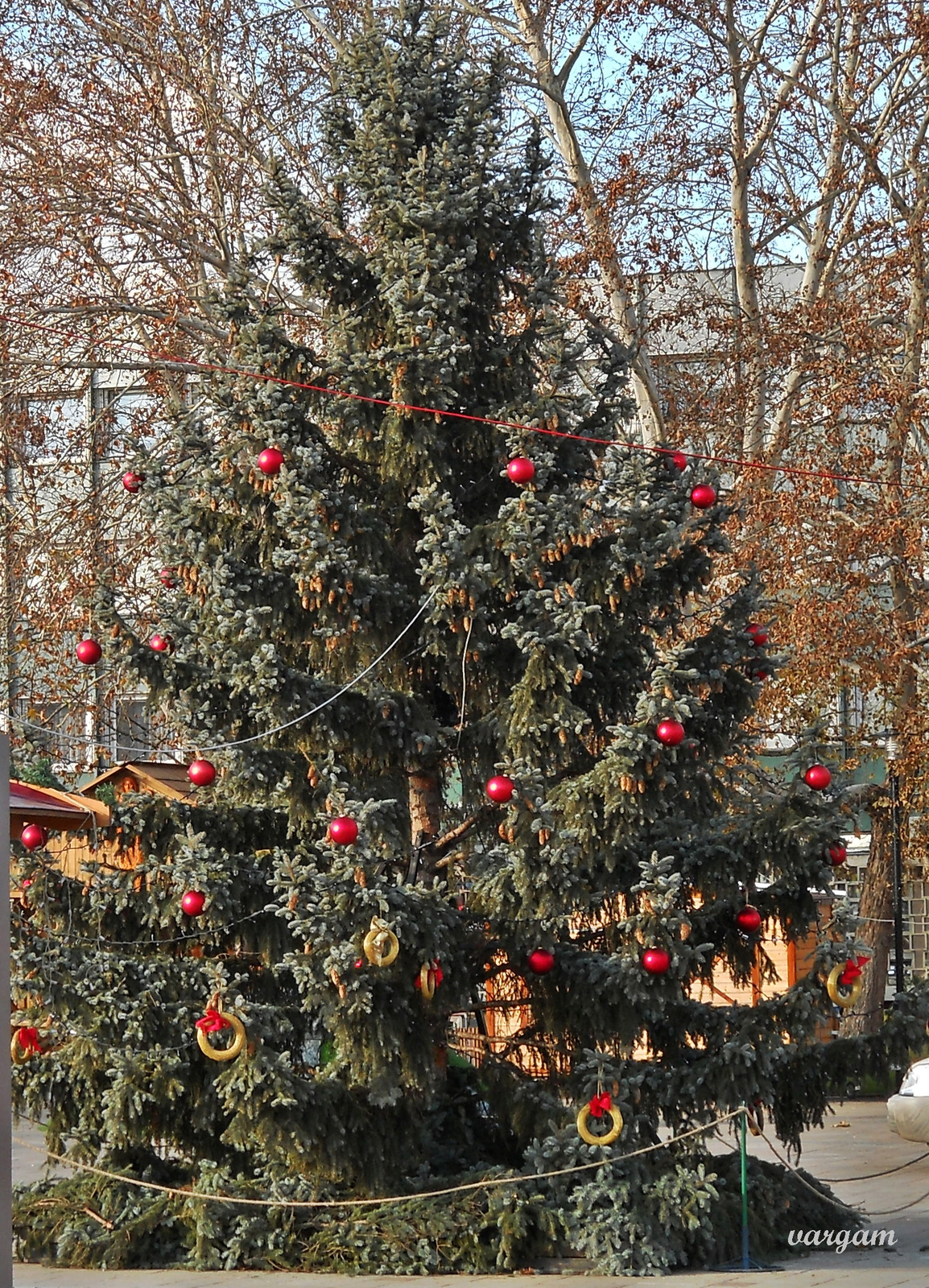 Tatabánya Fő tér 2013.dec.2