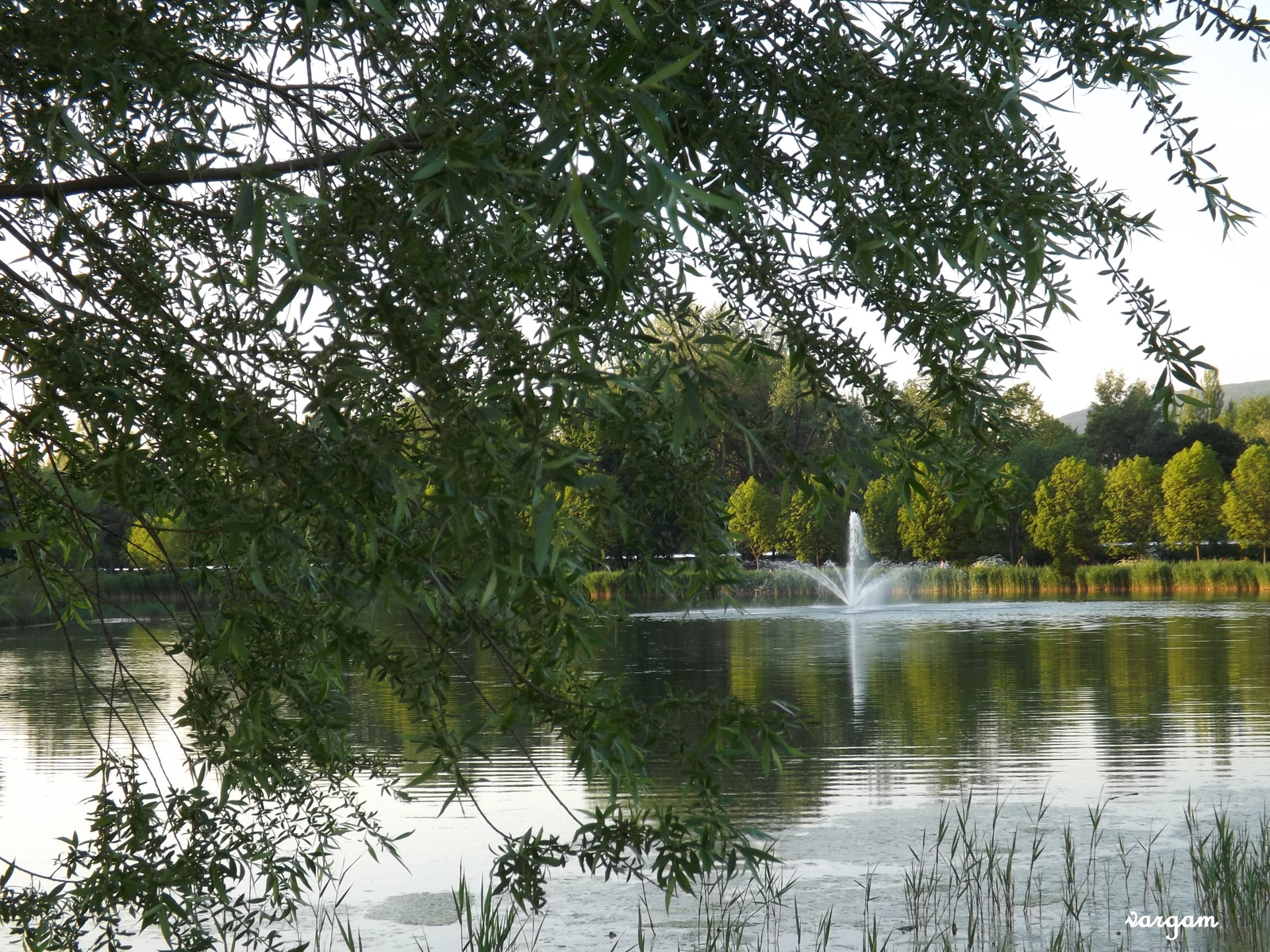 Tatabánya Csónakázó tó 2014. máj 5 067