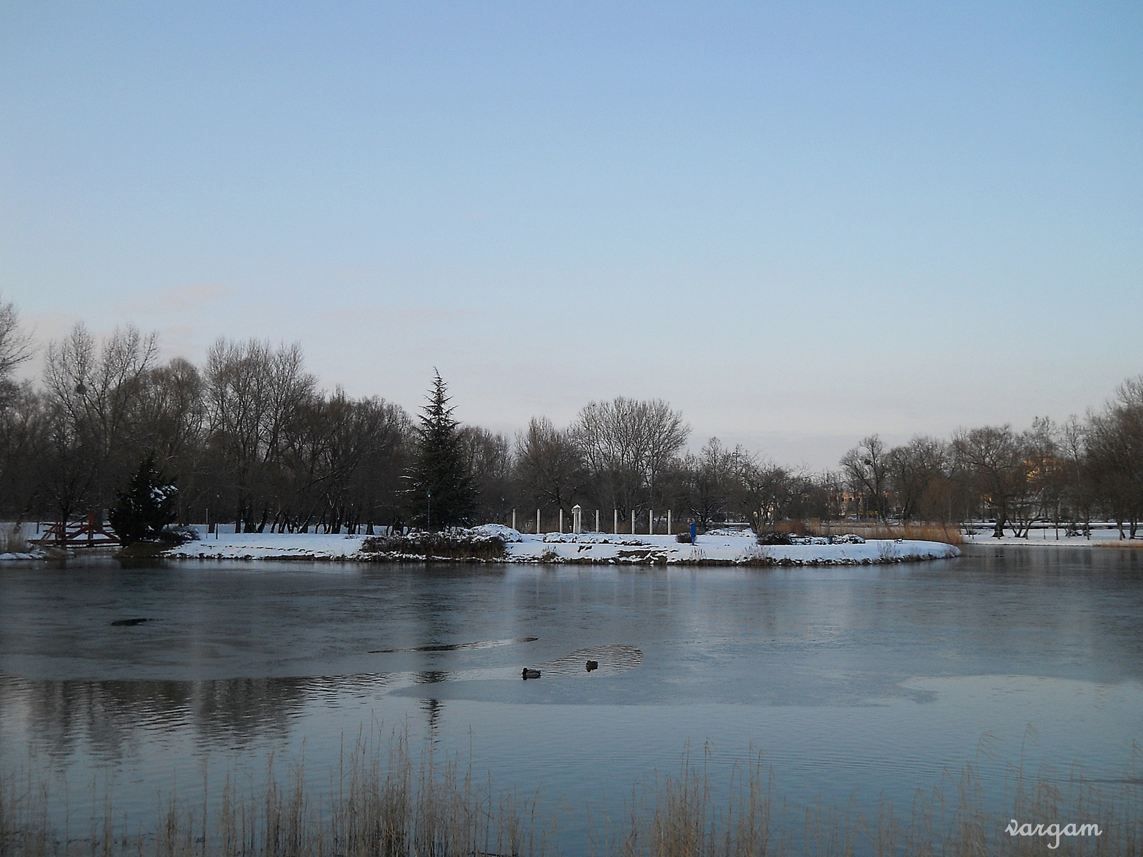 Tatabánya Csónakázó tó2015.jan.26