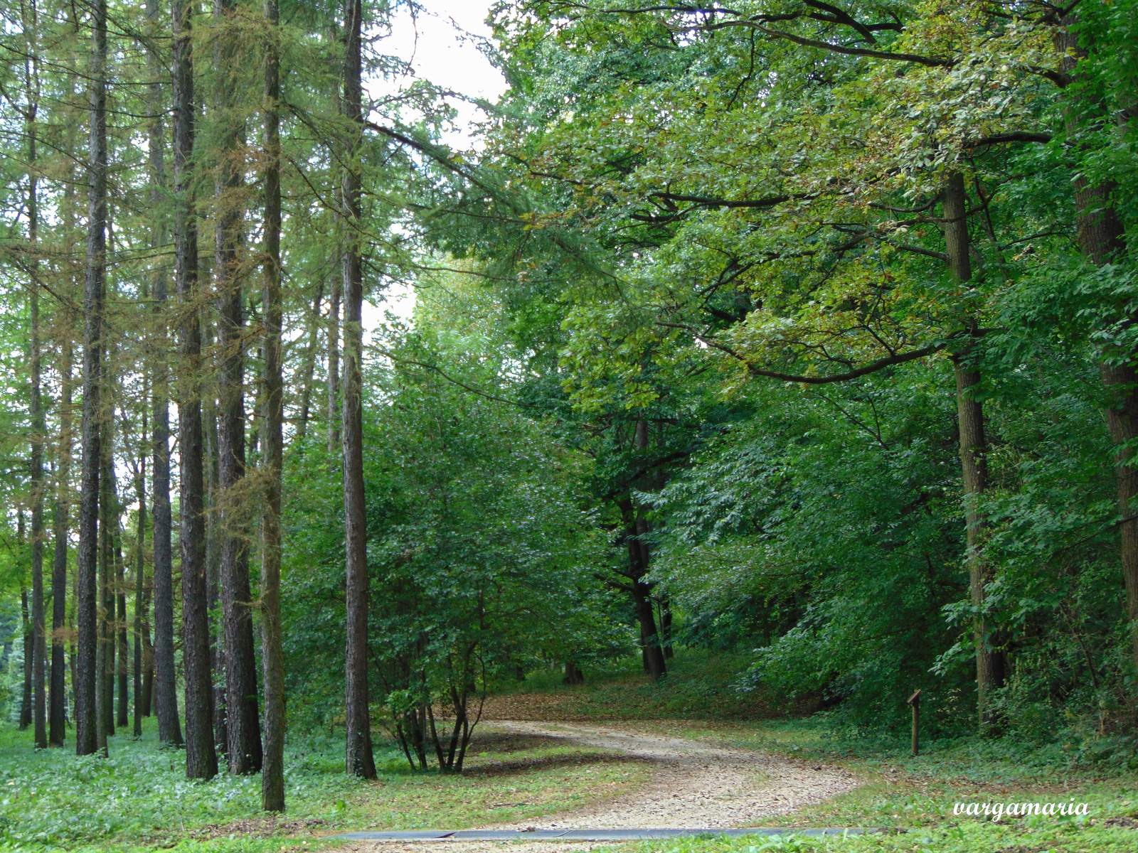 Agostyáni Arborétum (39)