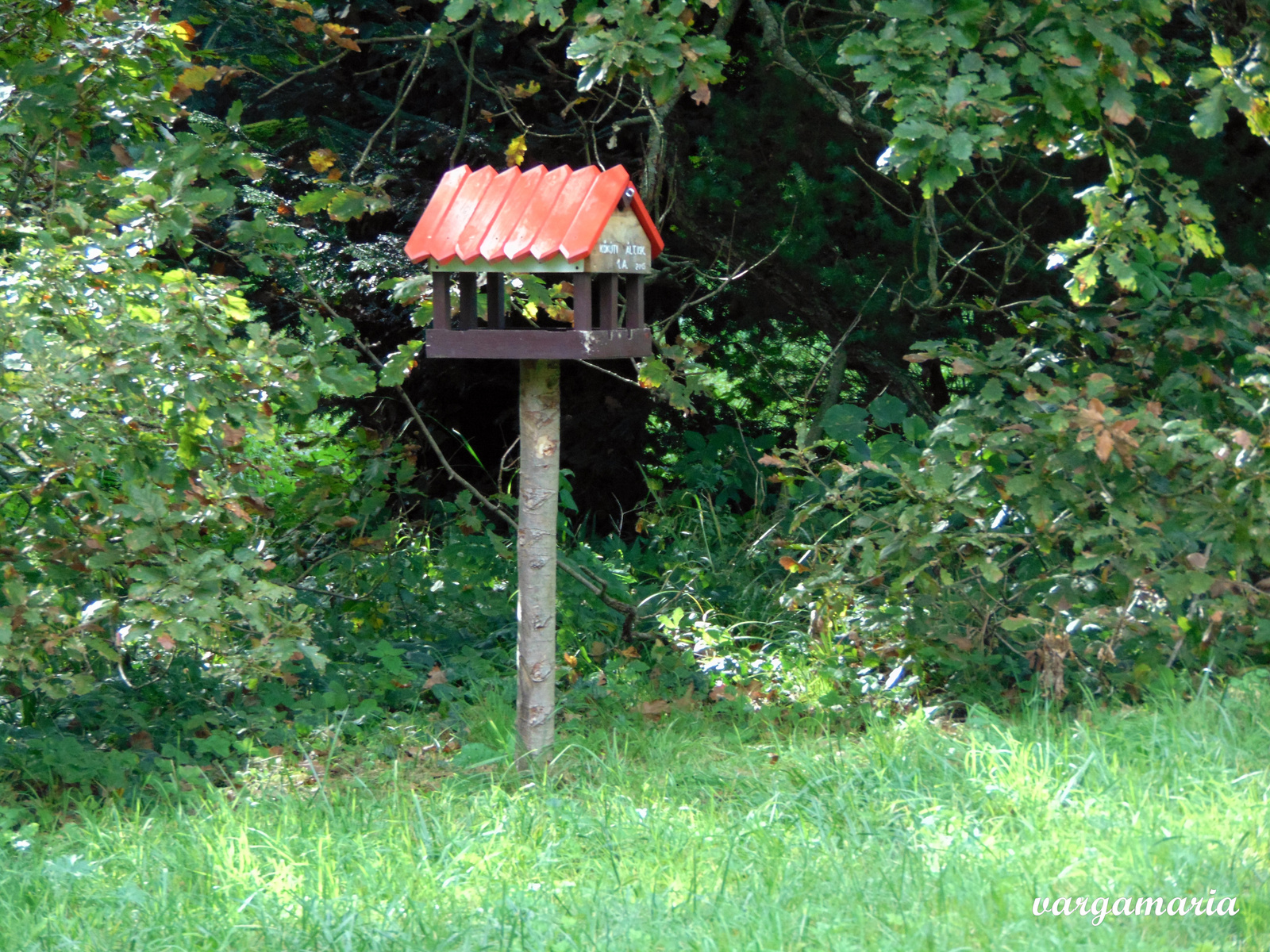 Agostyáni Arborétum (44)