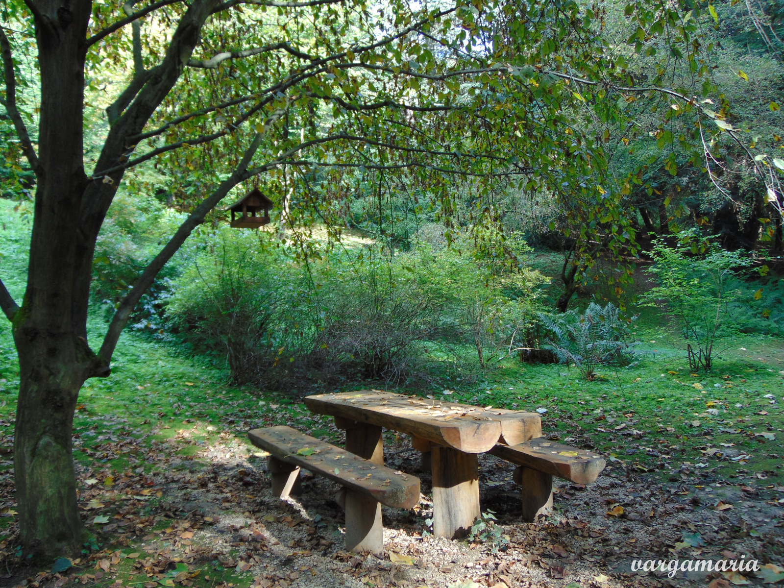 Agostyáni Arborétum 2016, okt. 9 (24)