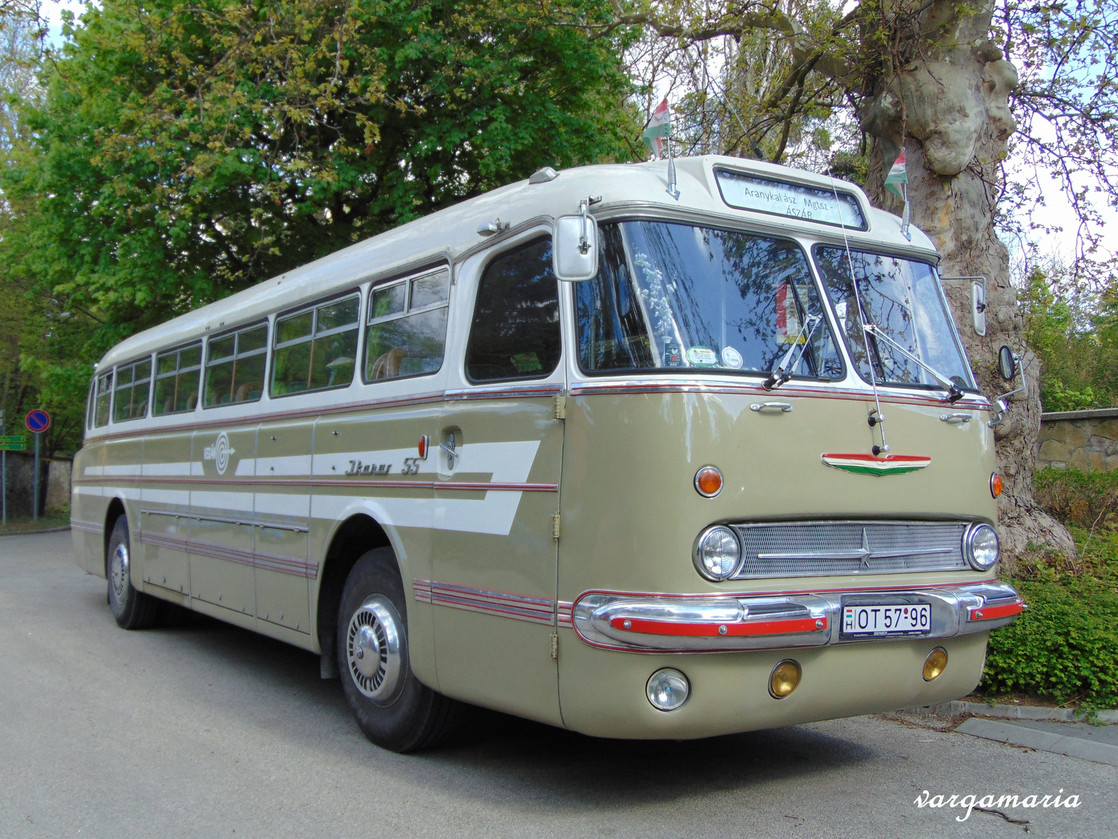 Ikarus 55 (3)