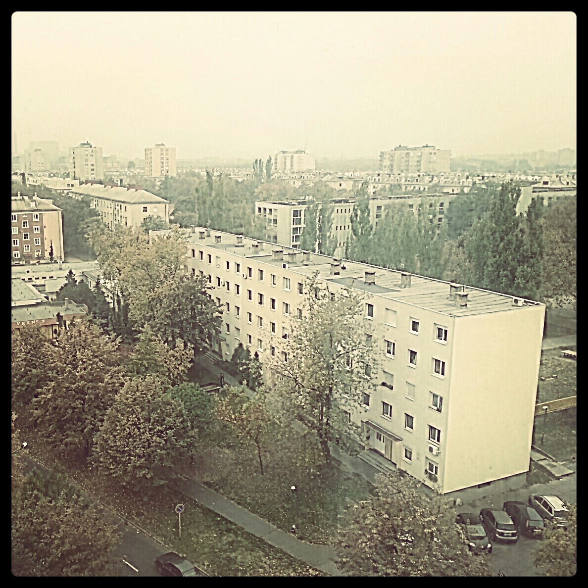 Ködös reggeli város