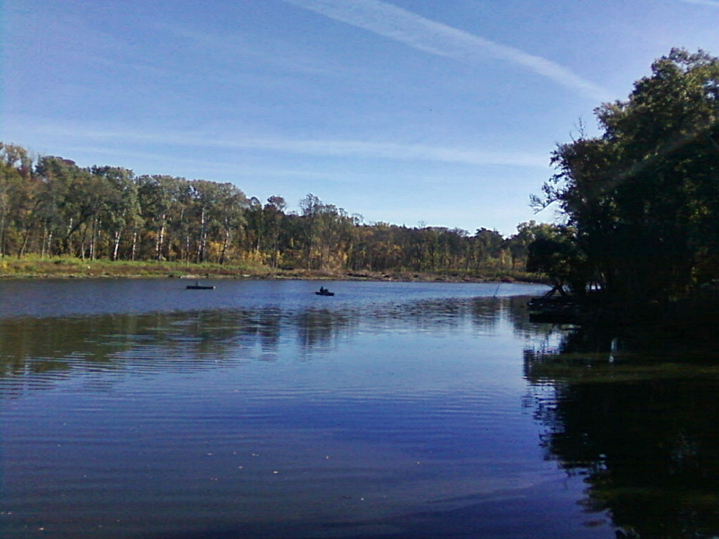 Tőserdő, Holt Tisza