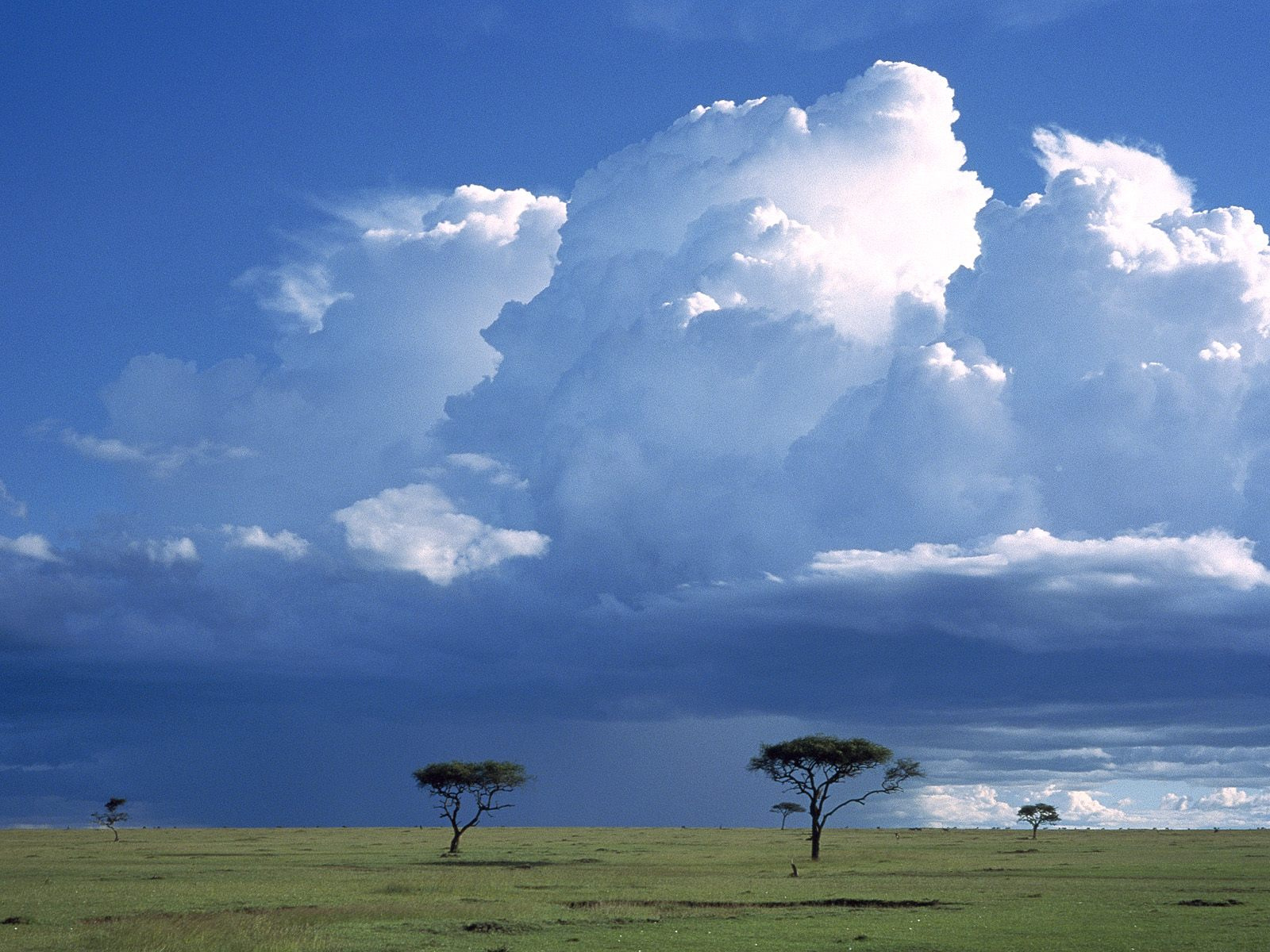 Storm Over the Savannah, Masai Mara National Reserve, Kenya