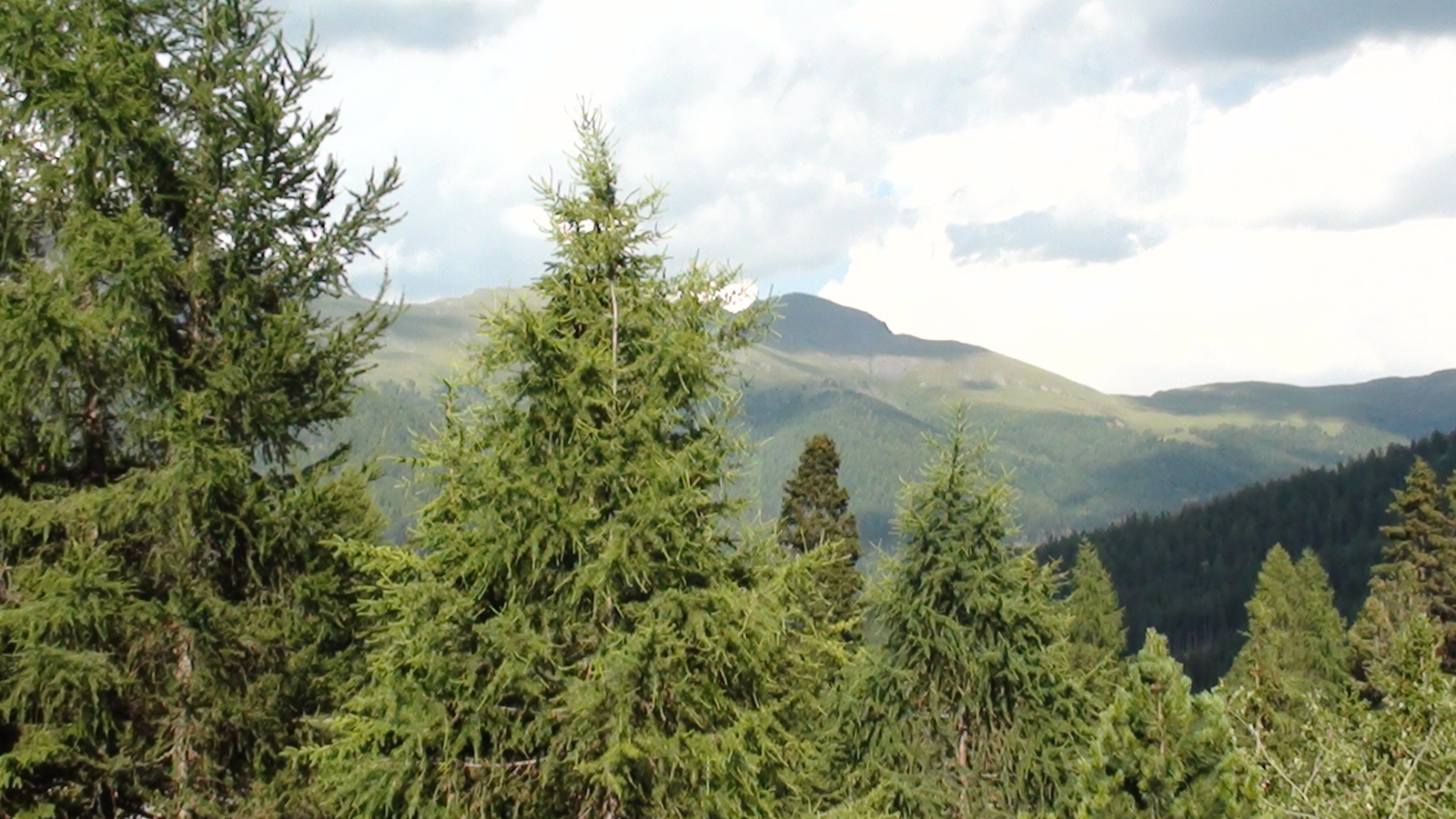 Turracher Pass - Krems völgye 043