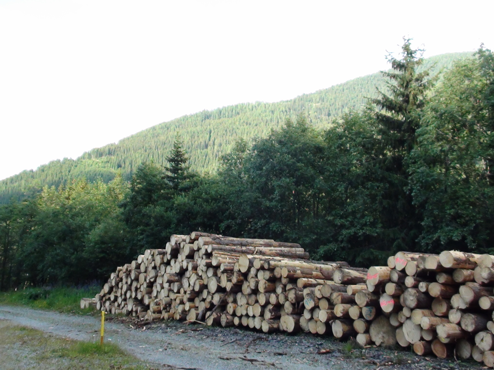 Turracher Pass - Krems völgye 056