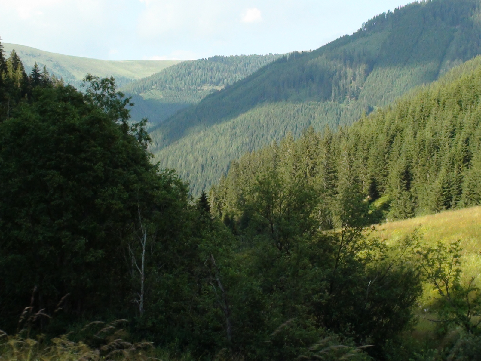 Turracher Pass - Krems völgye 063