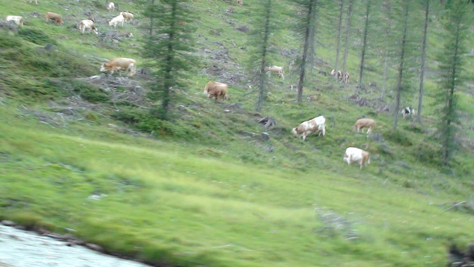 Turracher Pass - Krems völgye 119