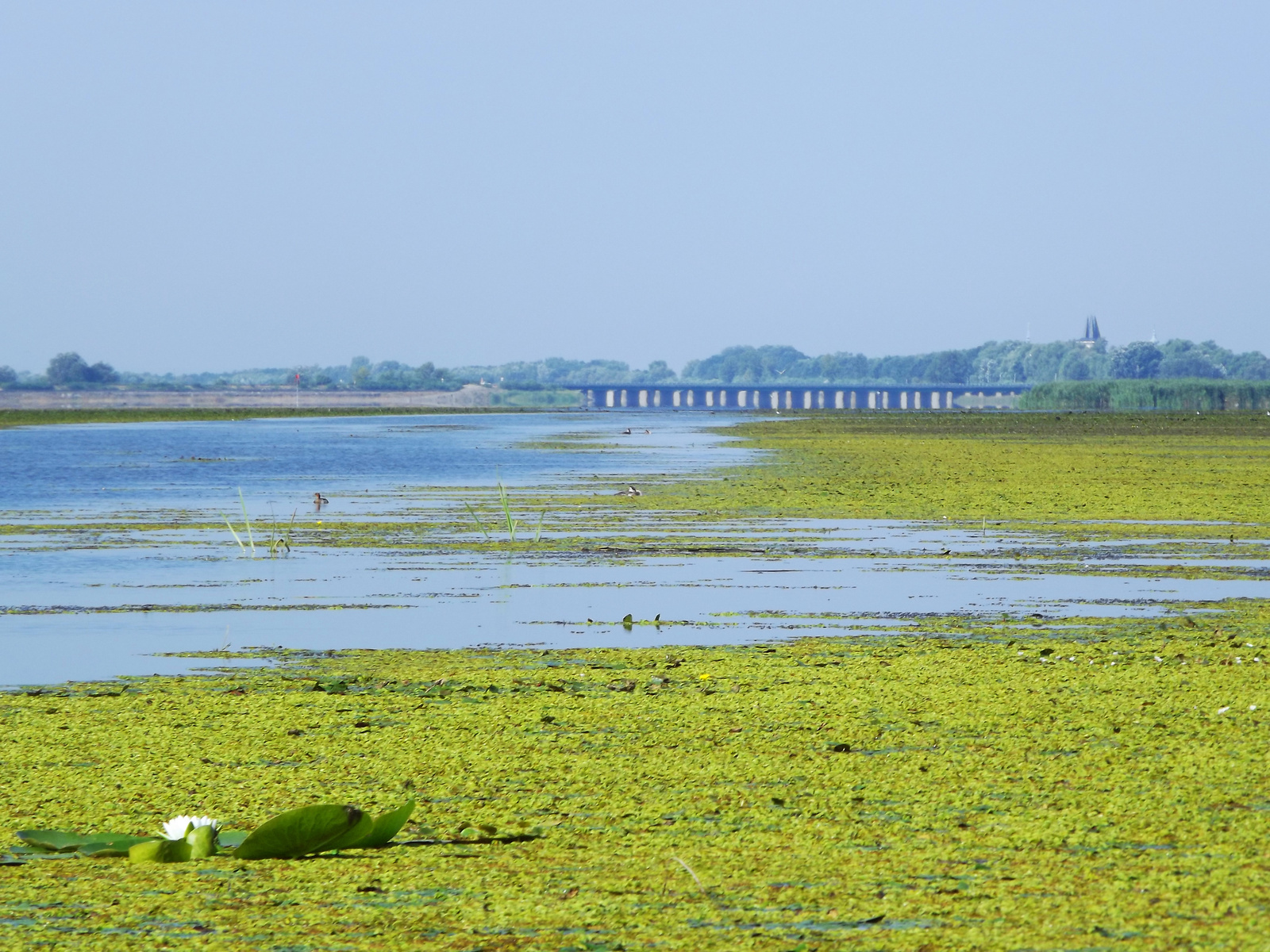 Tisza - tó (2)