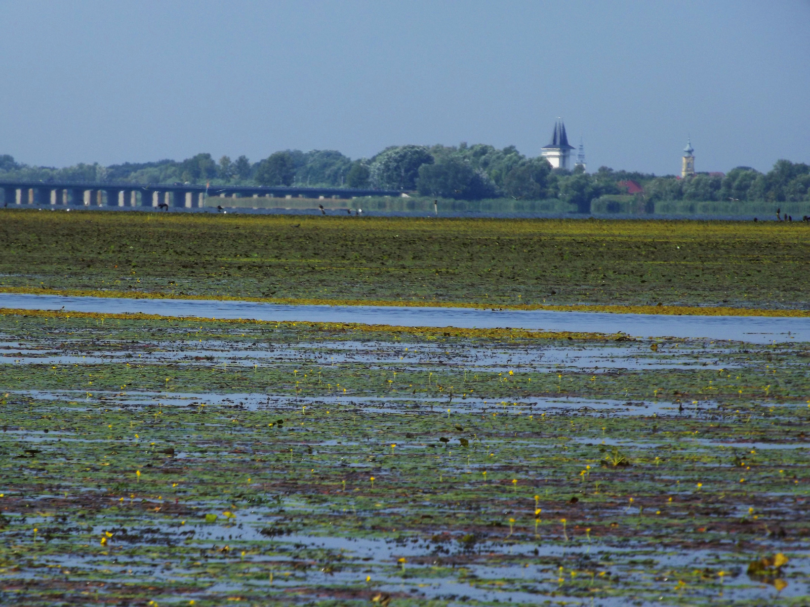 Tisza - tó (3)