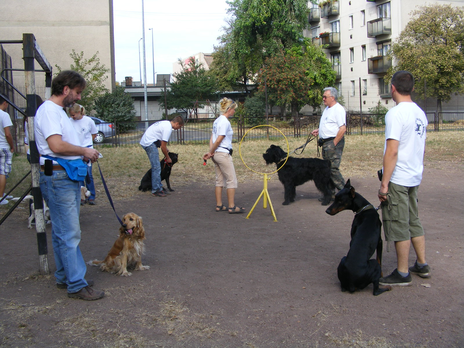 KUTYÁK 20111004 014