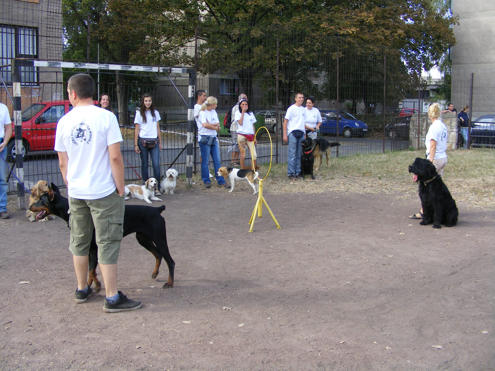 KUTYÁK 20111004 015