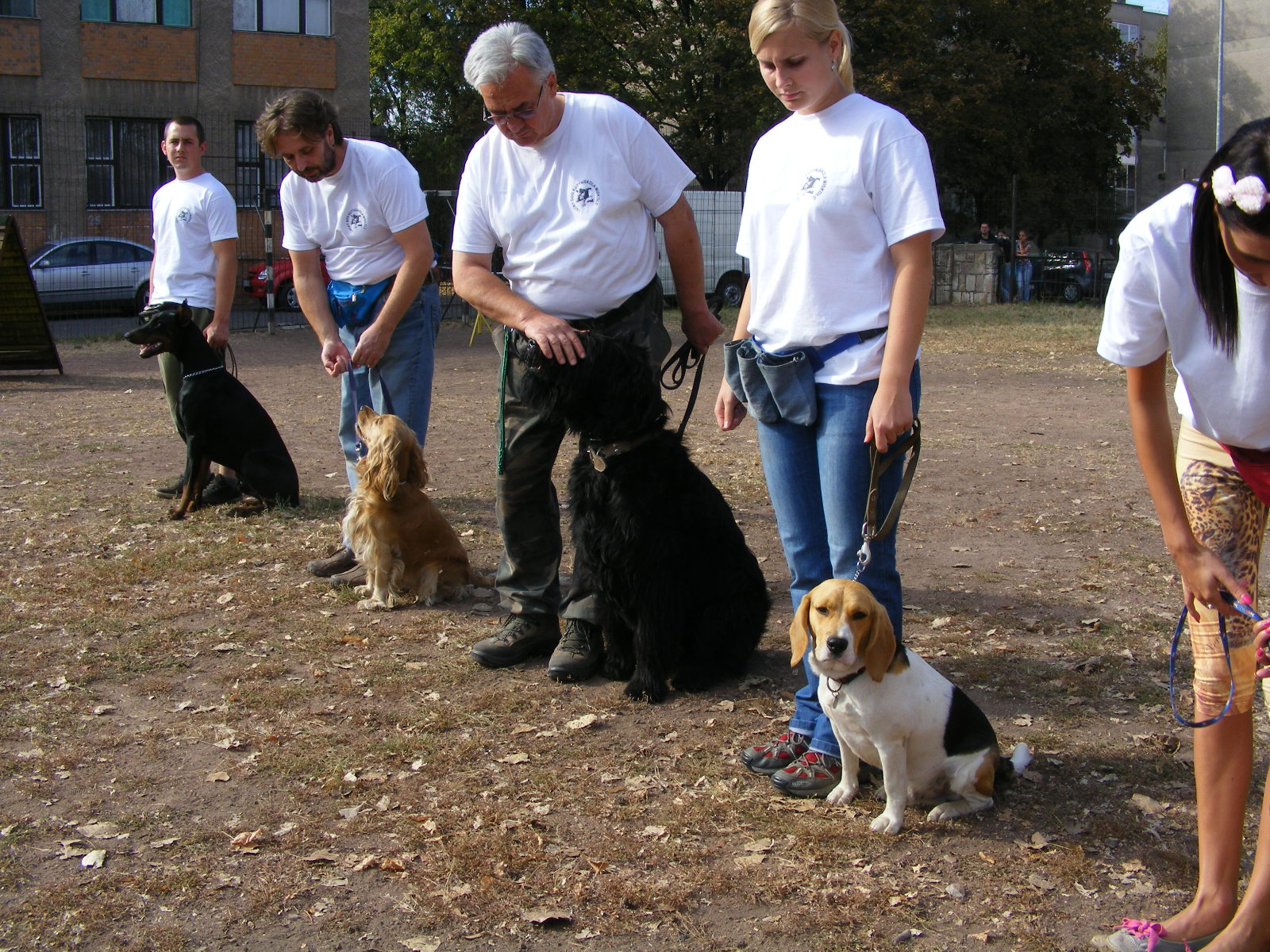 KUTYÁK 20111004 038