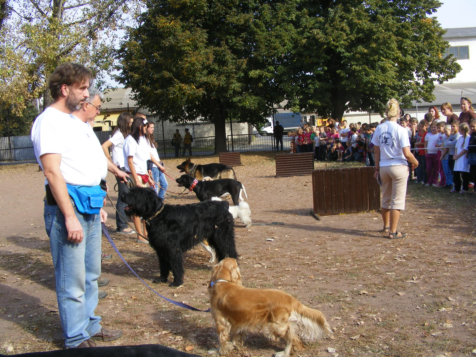 KUTYÁK 20111004 041