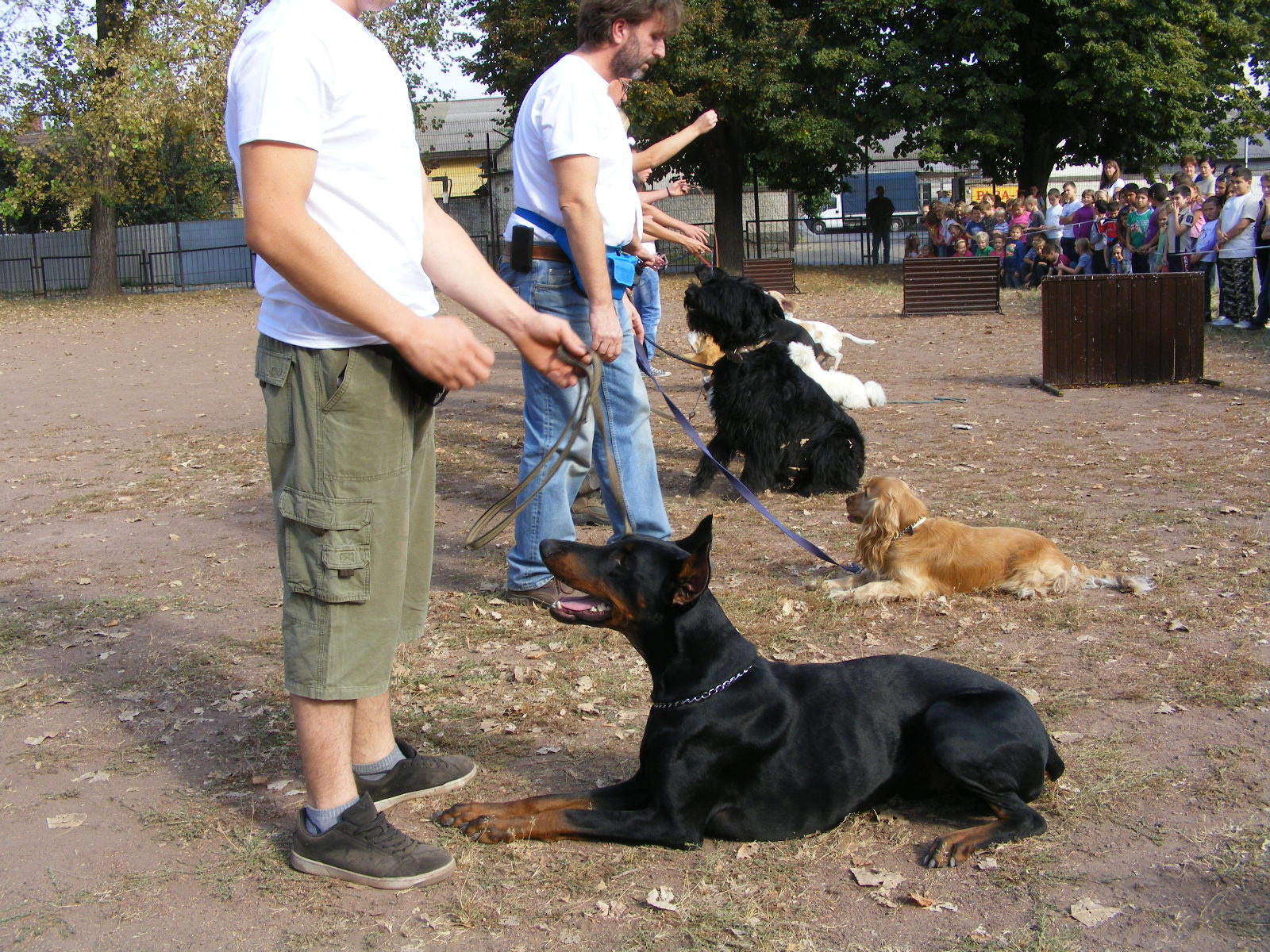 KUTYÁK 20111004 043