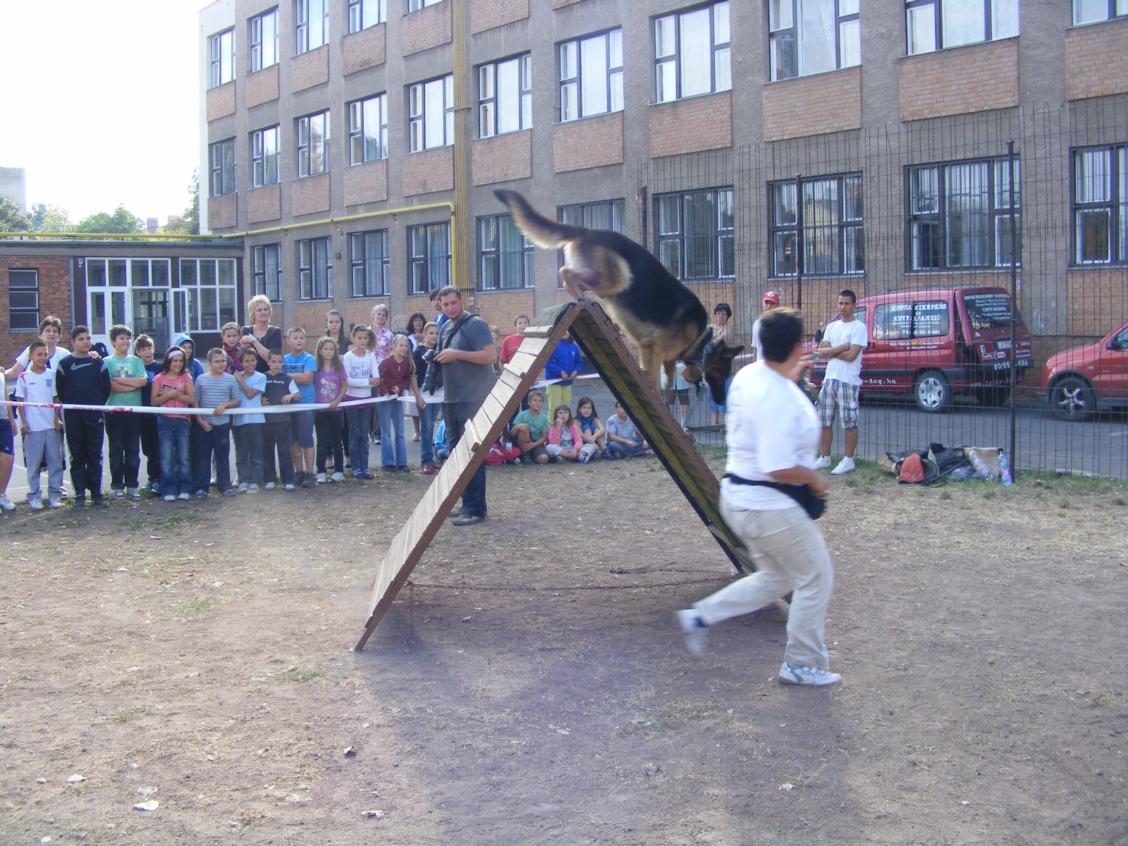 KUTYÁK 20111004 051