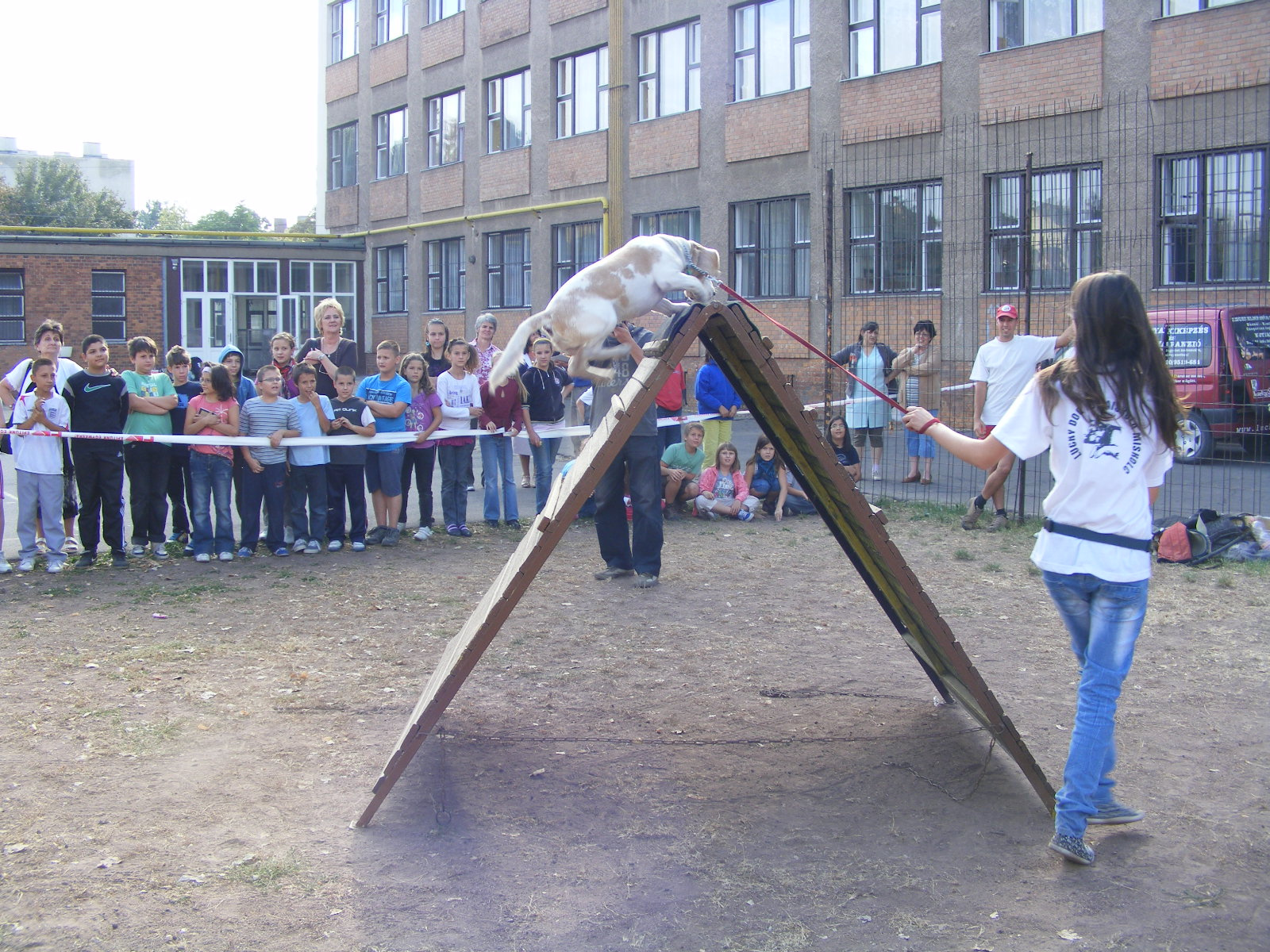 KUTYÁK 20111004 052