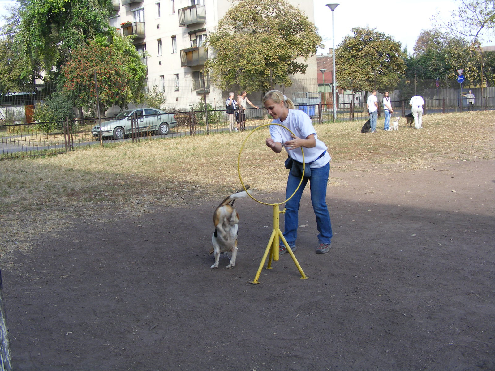 KUTYÁK 20111004 061