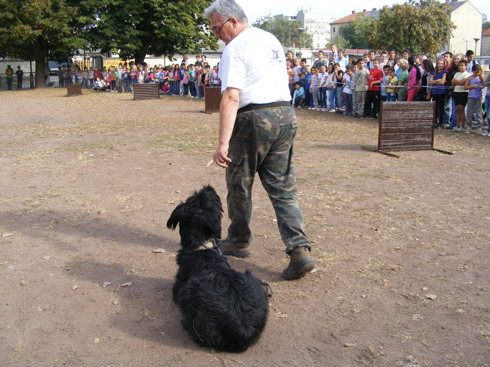 KUTYÁK 20111004 072