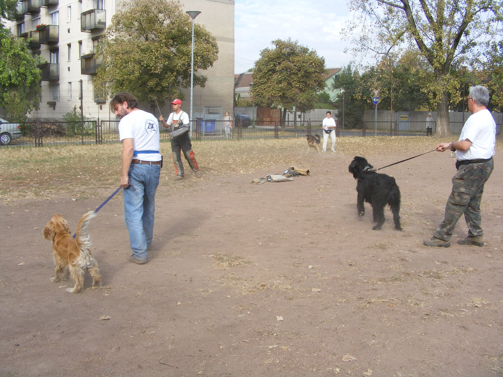 KUTYÁK 20111004 075