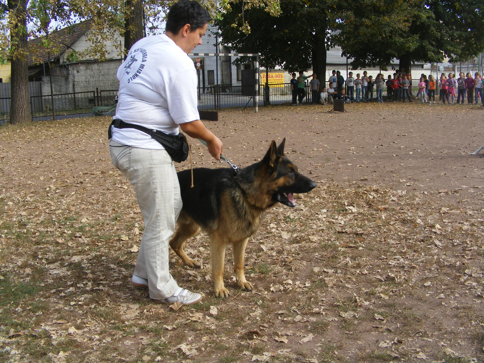 KUTYÁK 20111004 078