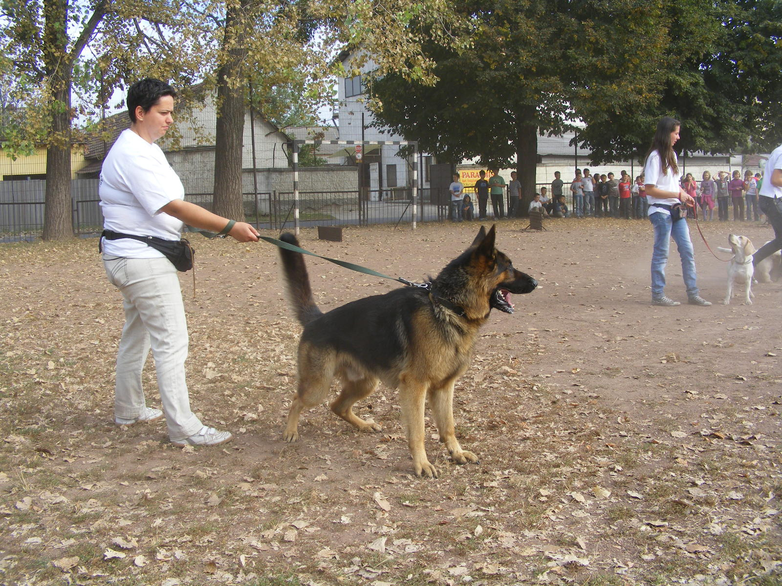 KUTYÁK 20111004 079