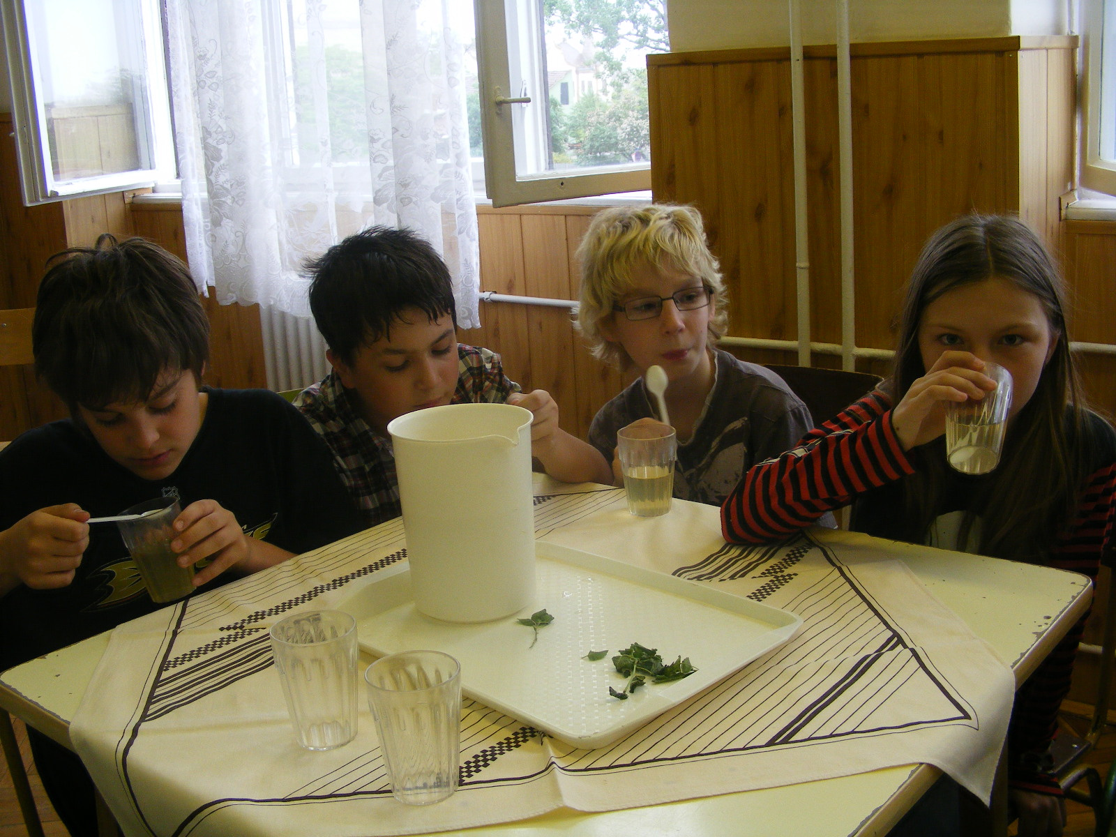 FŰBEN, FÁBAN ORVOSSÁG 20120507 023