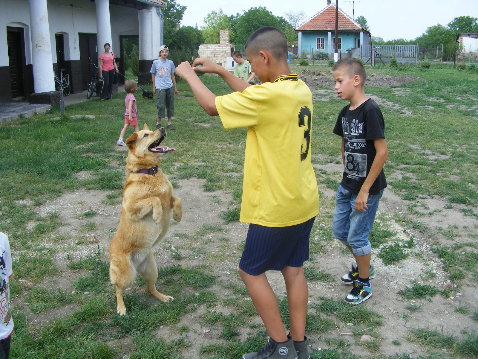 HERNÁDSZENTANDRÁS 20120608 112