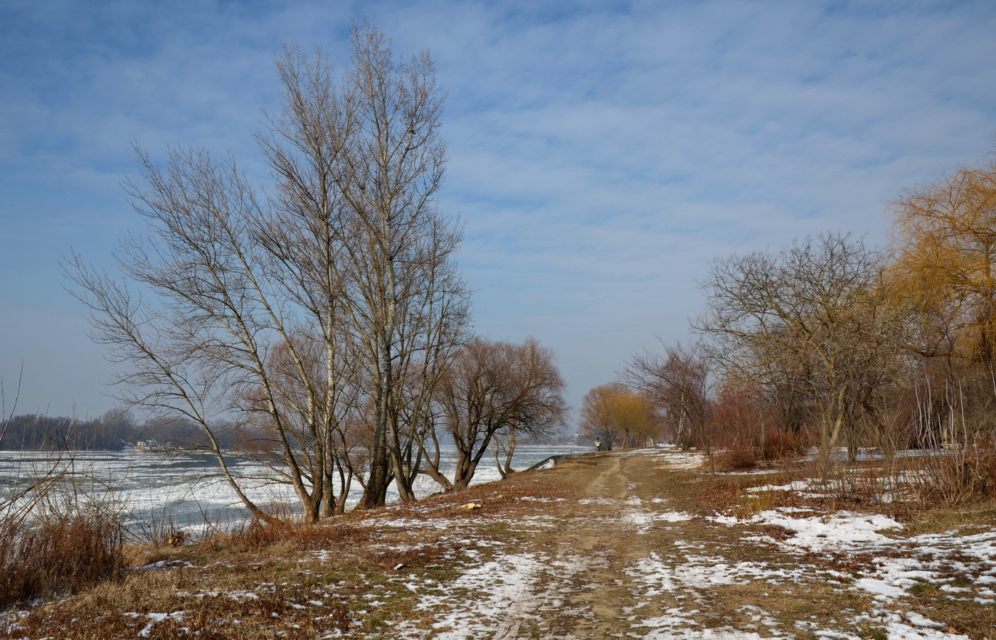 03 Váci Duna - jeges február közepe