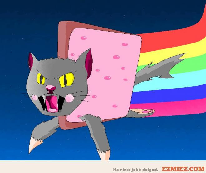 nyancat