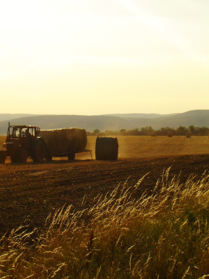 Traktor munka közben